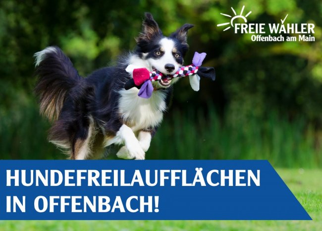 Hundewiesen