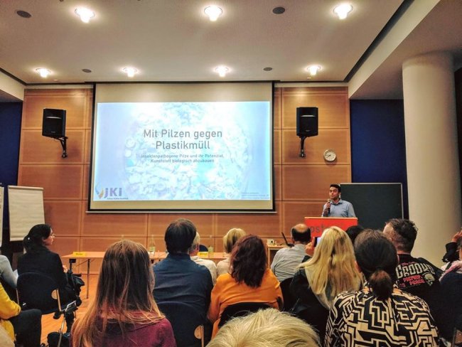 Mit Pilzen gegen Plastikmüll